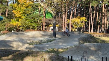 富士すばるランドに投稿された画像（2024/11/5）