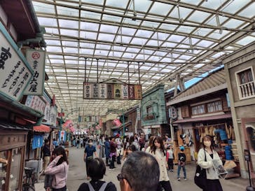 西武園ゆうえんちに投稿された画像（2024/11/5）