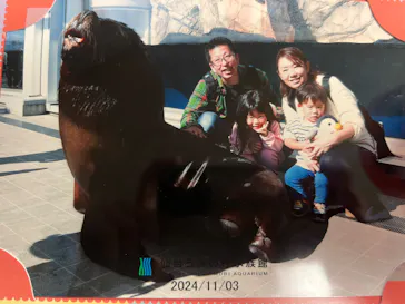仙台うみの杜水族館に投稿された画像（2024/11/5）