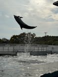 京都水族館に投稿された画像（2024/11/6）