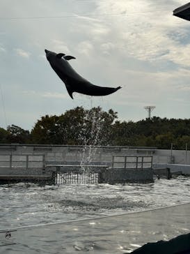 京都水族館に投稿された画像（2024/11/5）
