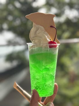 京都水族館に投稿された画像（2024/11/5）