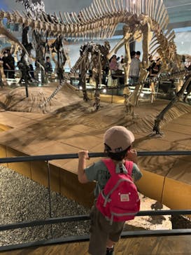 福井県立恐竜博物館に投稿された画像（2024/11/6）