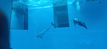 上越市立水族博物館 うみがたりに投稿された画像（2024/11/5）