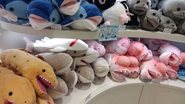 上越市立水族博物館 うみがたりに投稿された画像（2024/11/5）