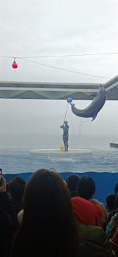 上越市立水族博物館 うみがたりに投稿された画像（2024/11/5）
