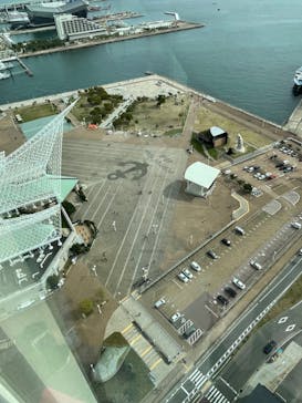 神戸ポートタワーに投稿された画像（2024/11/6）