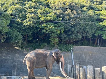 横浜市立金沢動物園に投稿された画像（2024/11/6）