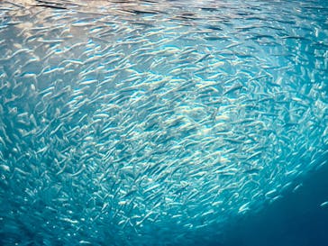 名古屋港水族館に投稿された画像（2024/11/6）