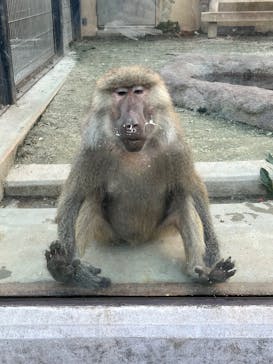 東武動物公園に投稿された画像（2024/11/6）