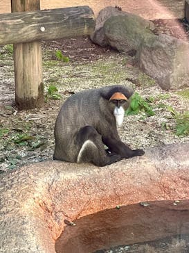 東武動物公園に投稿された画像（2024/11/6）