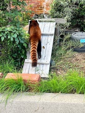東武動物公園に投稿された画像（2024/11/6）