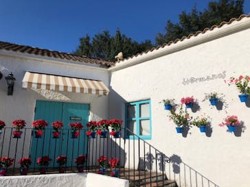 志摩スペイン村パルケエスパーニャに投稿された画像（2024/11/6）