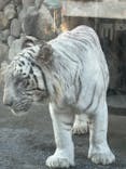 東武動物公園に投稿された画像（2024/11/6）