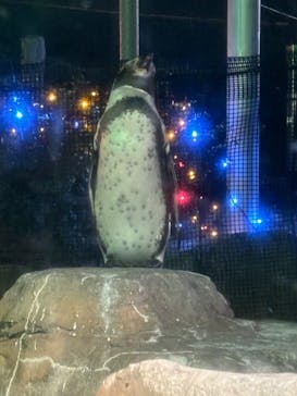 東武動物公園に投稿された画像（2024/11/6）