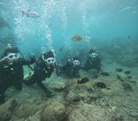 沖縄マリンサービス碧に投稿された画像（2024/11/6）