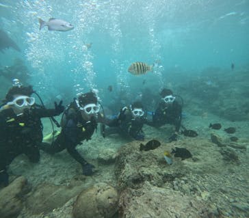 沖縄マリンサービス碧に投稿された画像（2024/11/6）