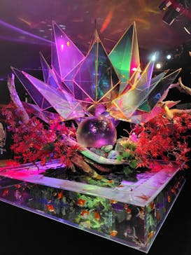 NARA IKIMONO MUSEUMに投稿された画像（2024/11/6）