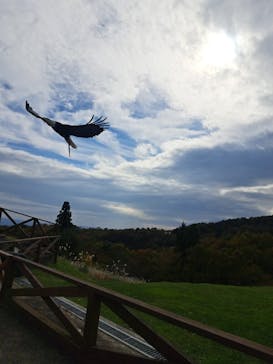 那須どうぶつ王国に投稿された画像（2024/11/6）