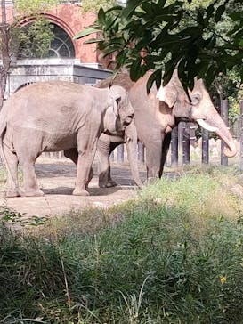 よこはま動物園ズーラシアに投稿された画像（2024/11/6）