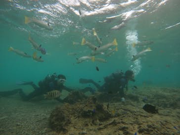 武藤潜水に投稿された画像（2024/11/6）