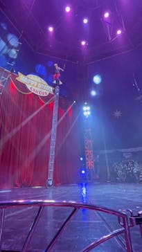 ハッピードリームサーカス湘南・平塚公演に投稿された画像（2024/11/6）