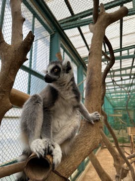 東北サファリパークに投稿された画像（2024/11/6）