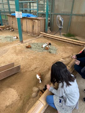 東北サファリパークに投稿された画像（2024/11/6）