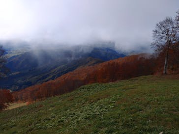 六日町八海山スキー場に投稿された画像（2024/11/6）