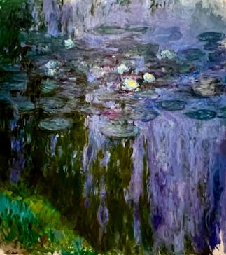 モネ 睡蓮のとき（国立西洋美術館）に投稿された画像（2024/11/6）