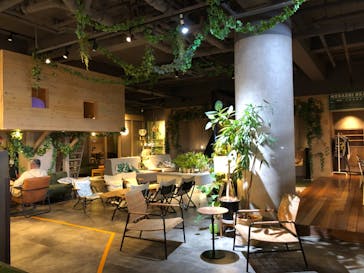 おふろcafé ハレニワの湯に投稿された画像（2024/11/6）