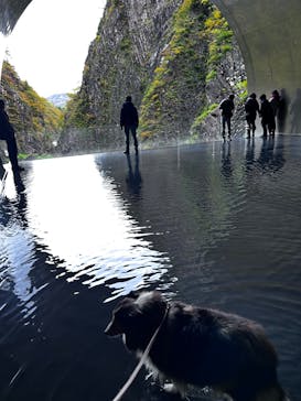 清津峡渓谷トンネルに投稿された画像（2024/11/6）