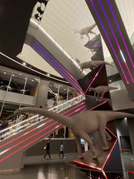 福井県立恐竜博物館に投稿された画像（2024/11/6）