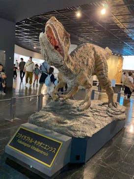 福井県立恐竜博物館に投稿された画像（2024/11/6）
