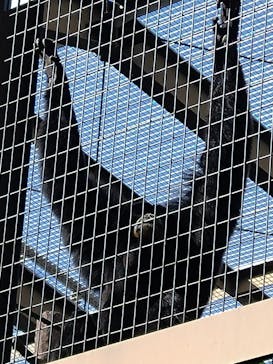 名古屋市東山動植物園に投稿された画像（2024/11/6）