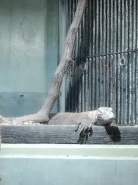 名古屋市東山動植物園に投稿された画像（2024/11/6）