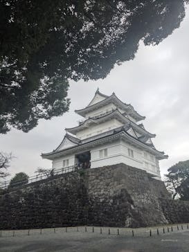 小田原城に投稿された画像（2024/11/6）