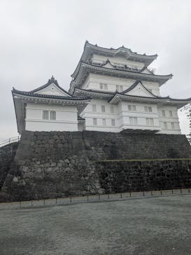 小田原城に投稿された画像（2024/11/6）
