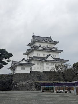 小田原城に投稿された画像（2024/11/6）