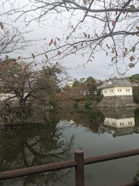 小田原城に投稿された画像（2024/11/6）