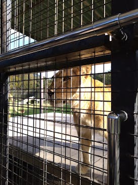 那須サファリパークに投稿された画像（2024/11/6）