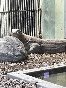 名古屋市東山動植物園に投稿された画像（2024/11/6）