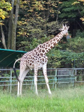 名古屋市東山動植物園に投稿された画像（2024/11/6）