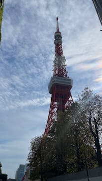 東京タワーに投稿された画像（2024/11/6）