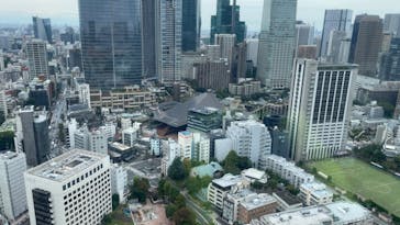 東京タワーに投稿された画像（2024/11/6）