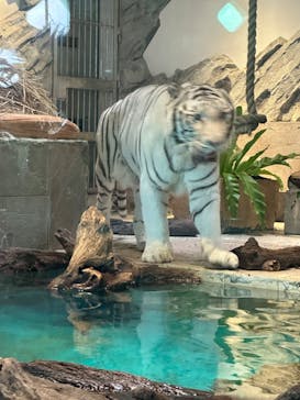 NIFREL（ニフレル）に投稿された画像（2024/11/6）