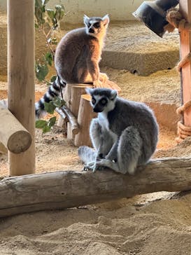 NIFREL（ニフレル）に投稿された画像（2024/11/6）