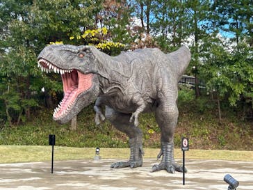 福井県立恐竜博物館に投稿された画像（2024/11/6）