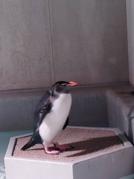 AOAO SAPPOROに投稿された画像（2024/11/6）