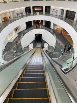 福井県立恐竜博物館に投稿された画像（2024/11/6）